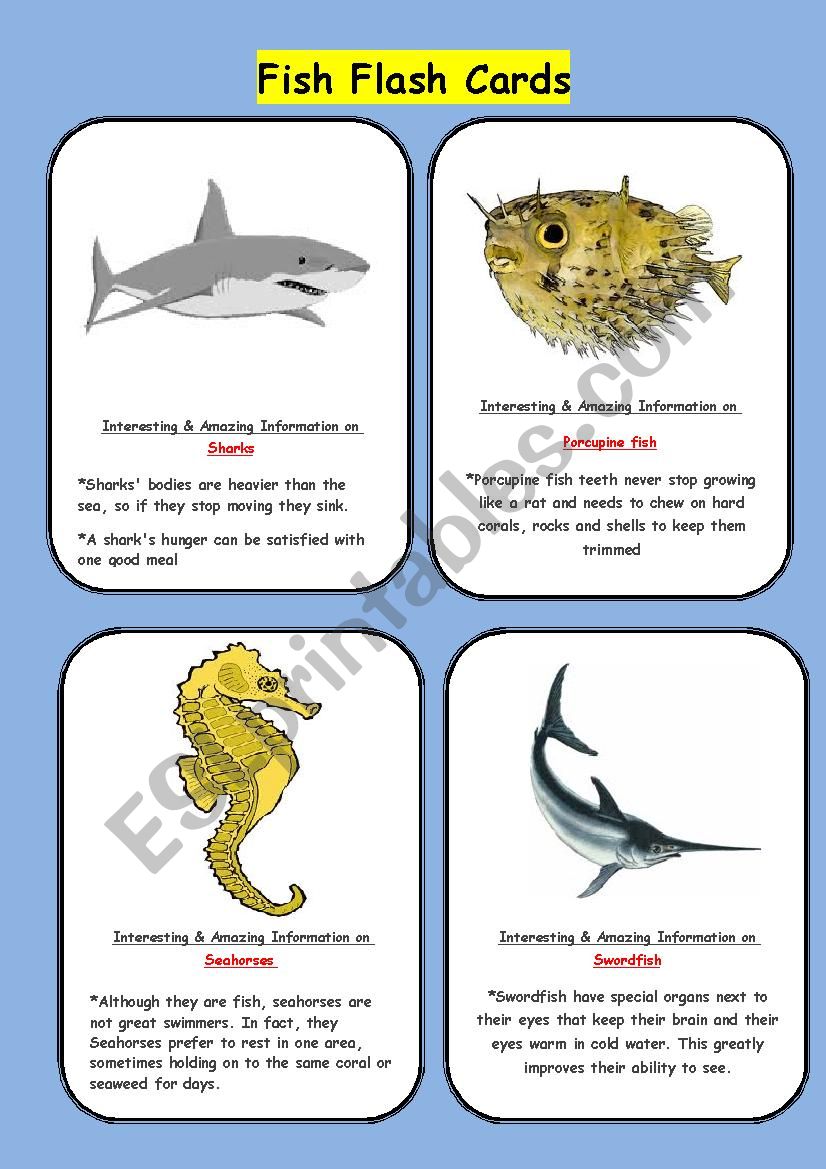 Fish Flash Cards worksheet