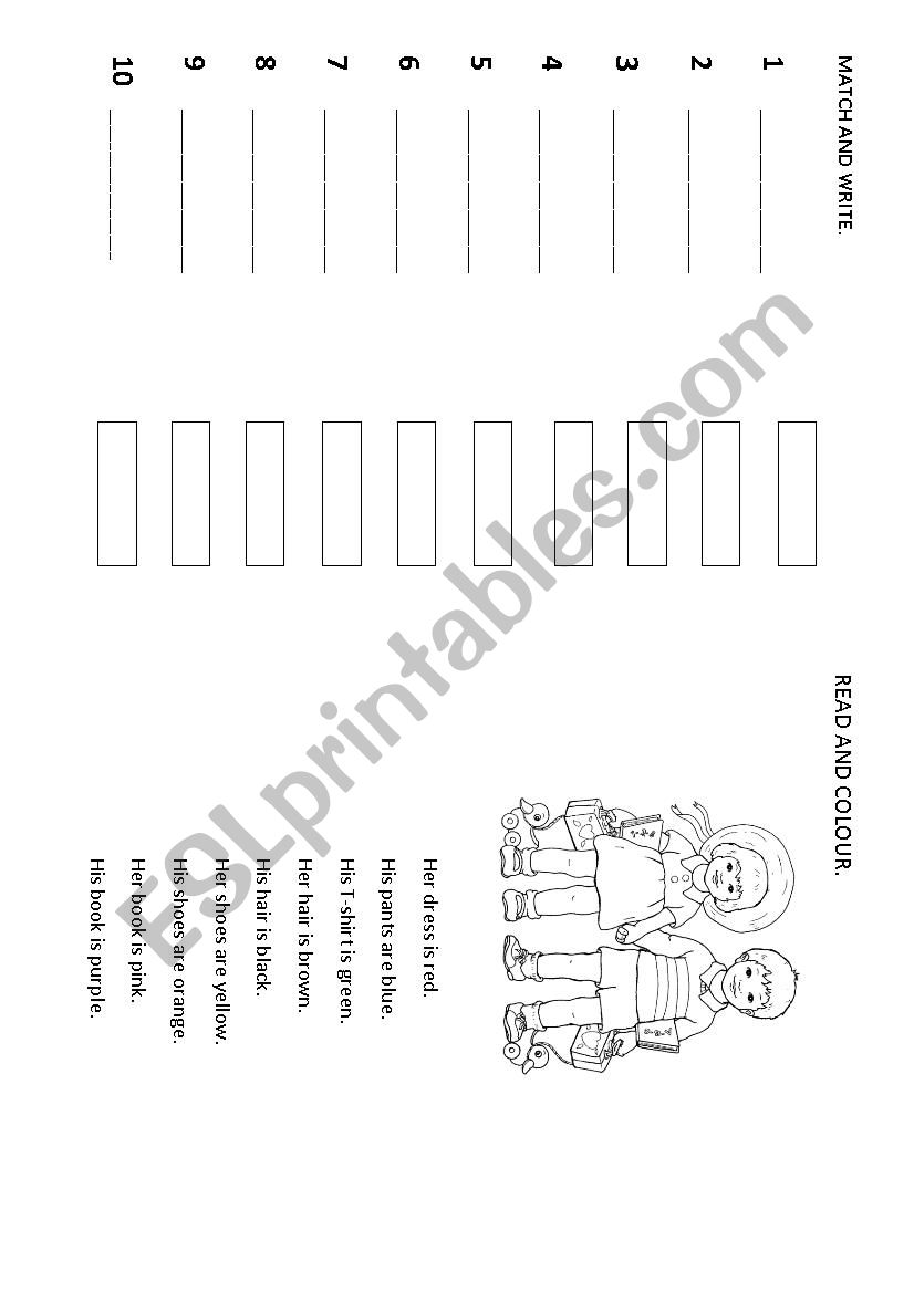 Numbers and colurs worksheet