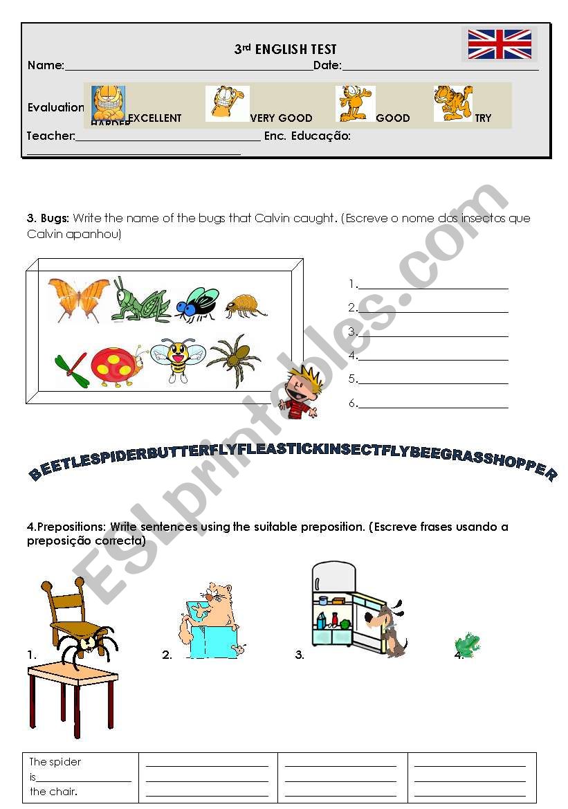 Test 4thYear 2/2 worksheet