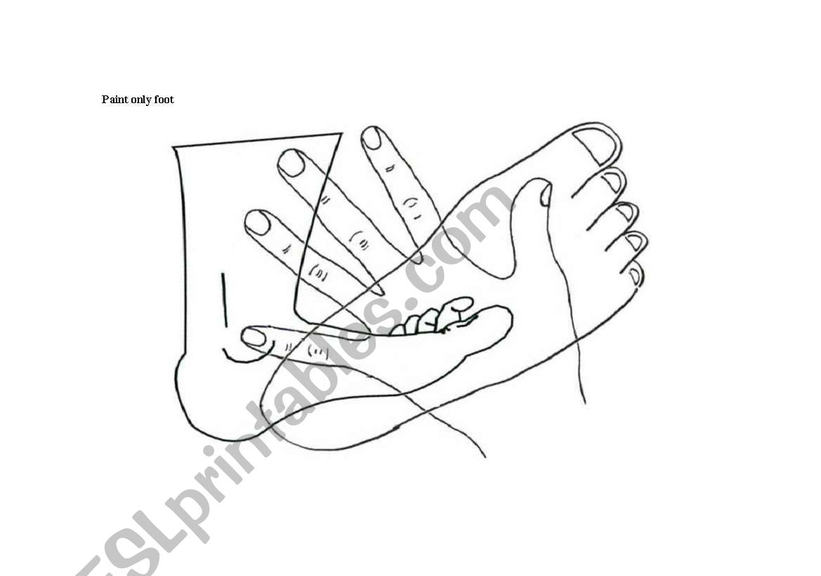 parts of body  worksheet