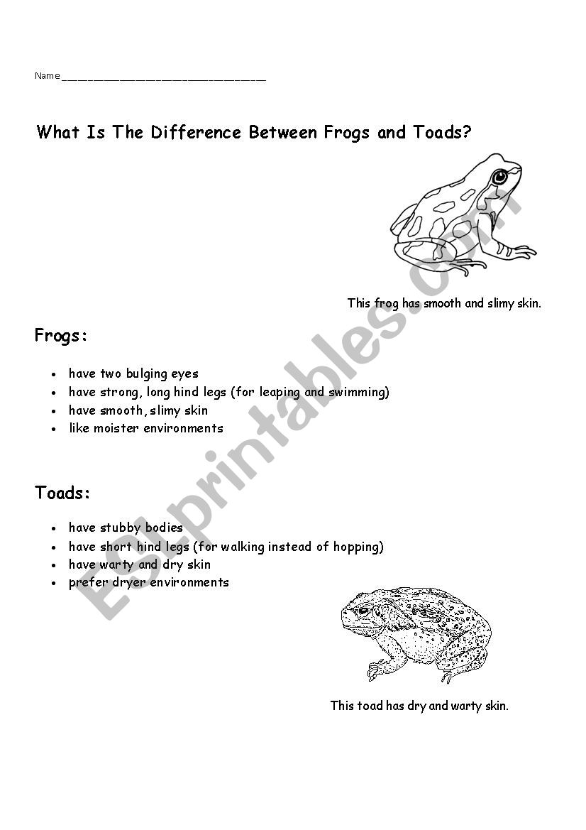 Frog and Toad informational text