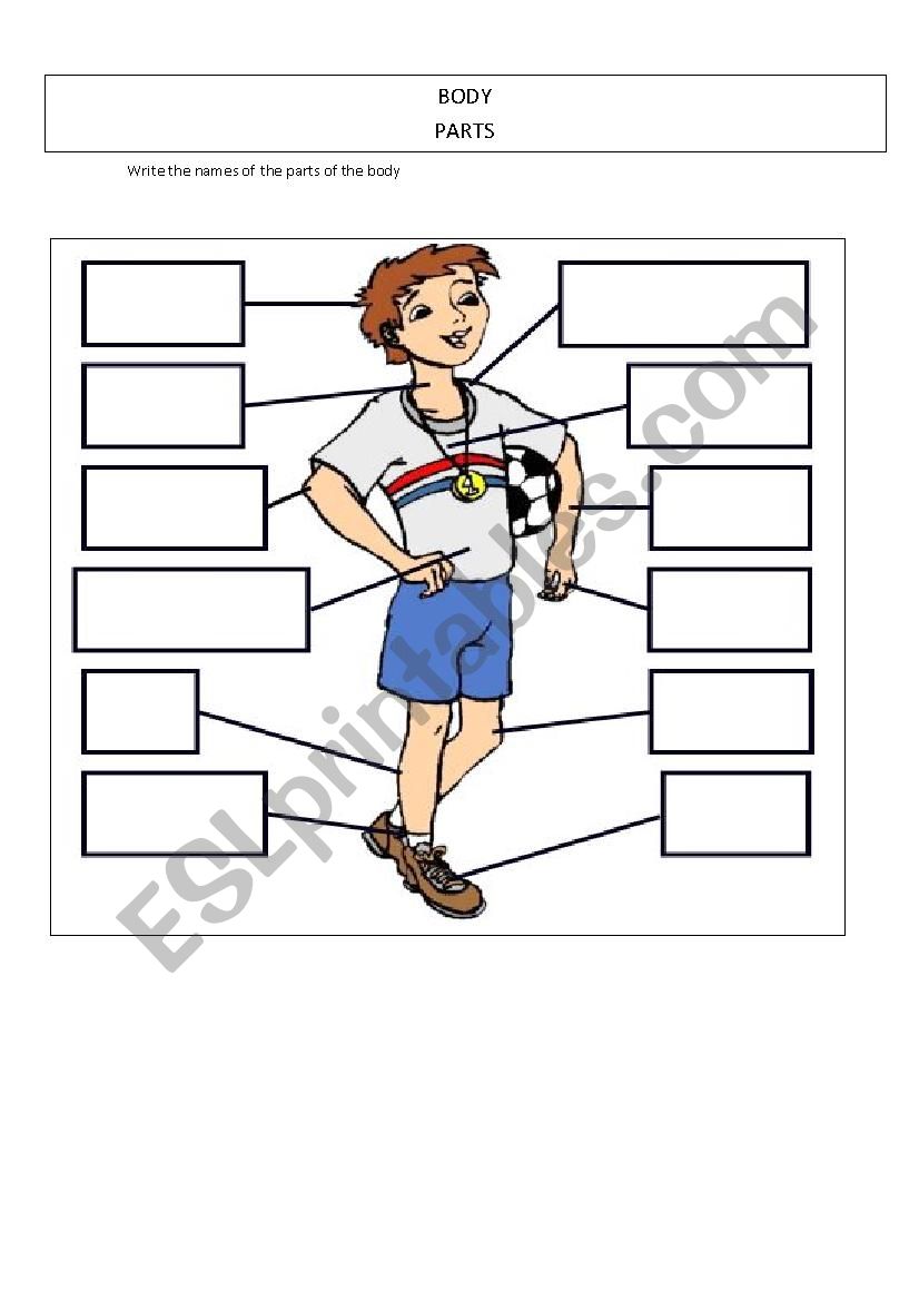 BODY PARTS worksheet