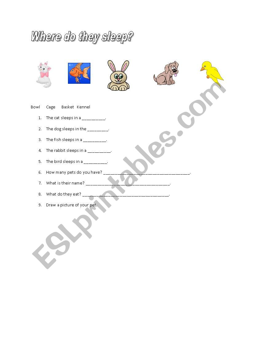 Animals. Where do they sleep? worksheet