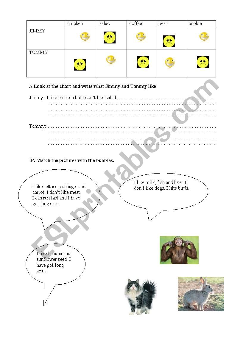 Likes/ Dislikes worksheet