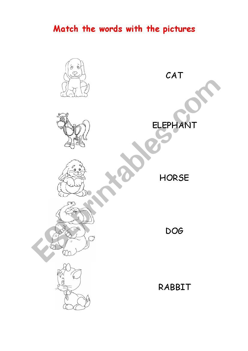 Animals worksheet