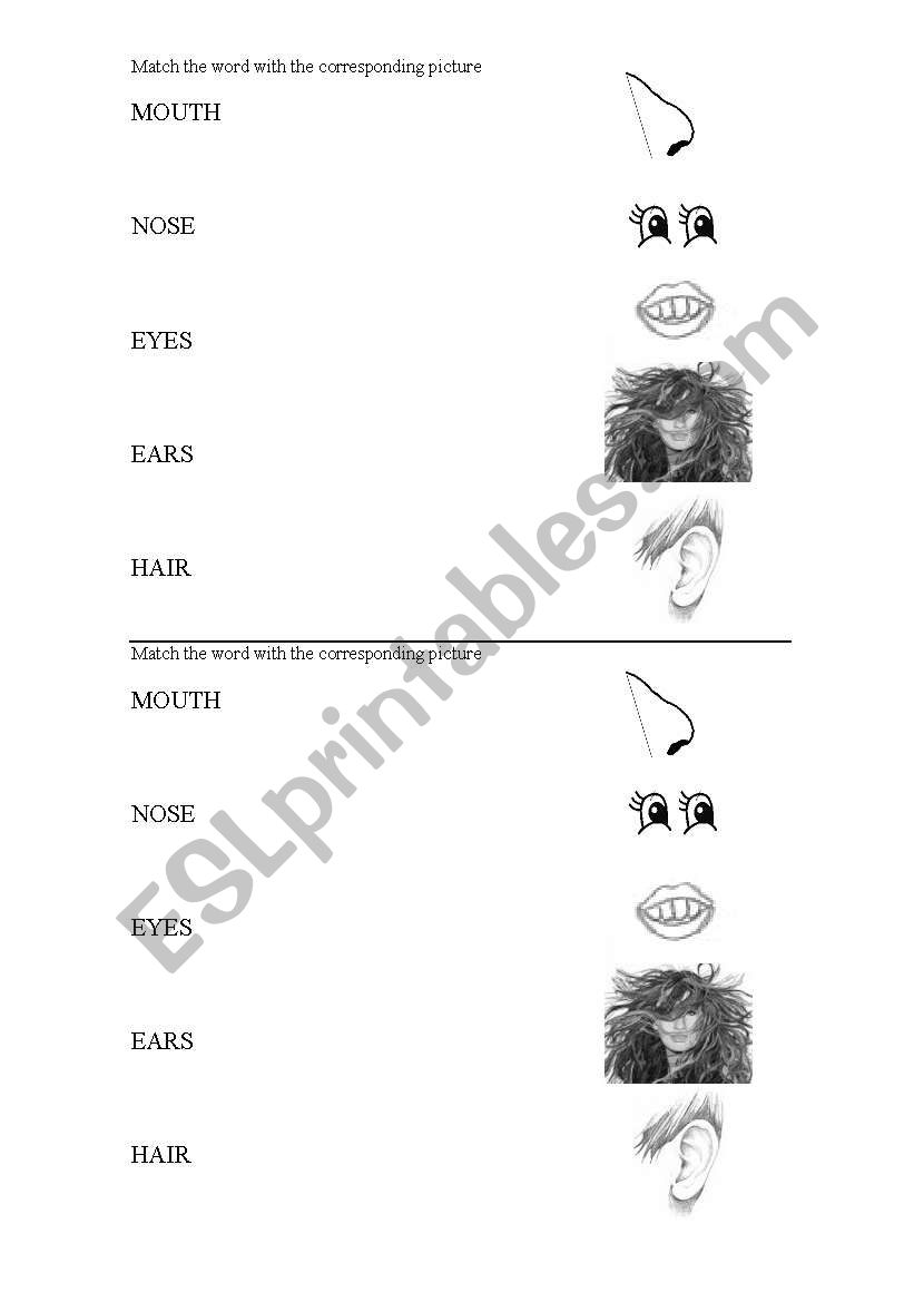 parts of the face worksheet