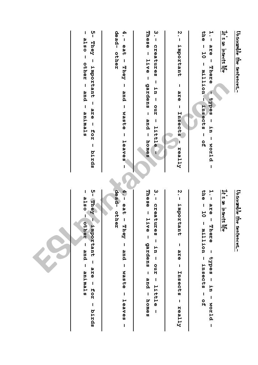UNSCRAMBLE SENTENCES ABOUT INSECTS