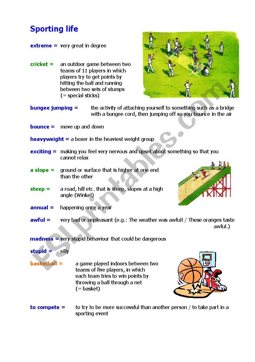 SPORTS - Explain in English worksheet