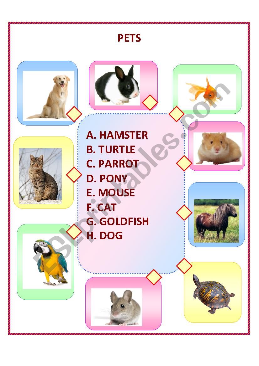 PETS WORKSHEET FOR CHILDREN worksheet