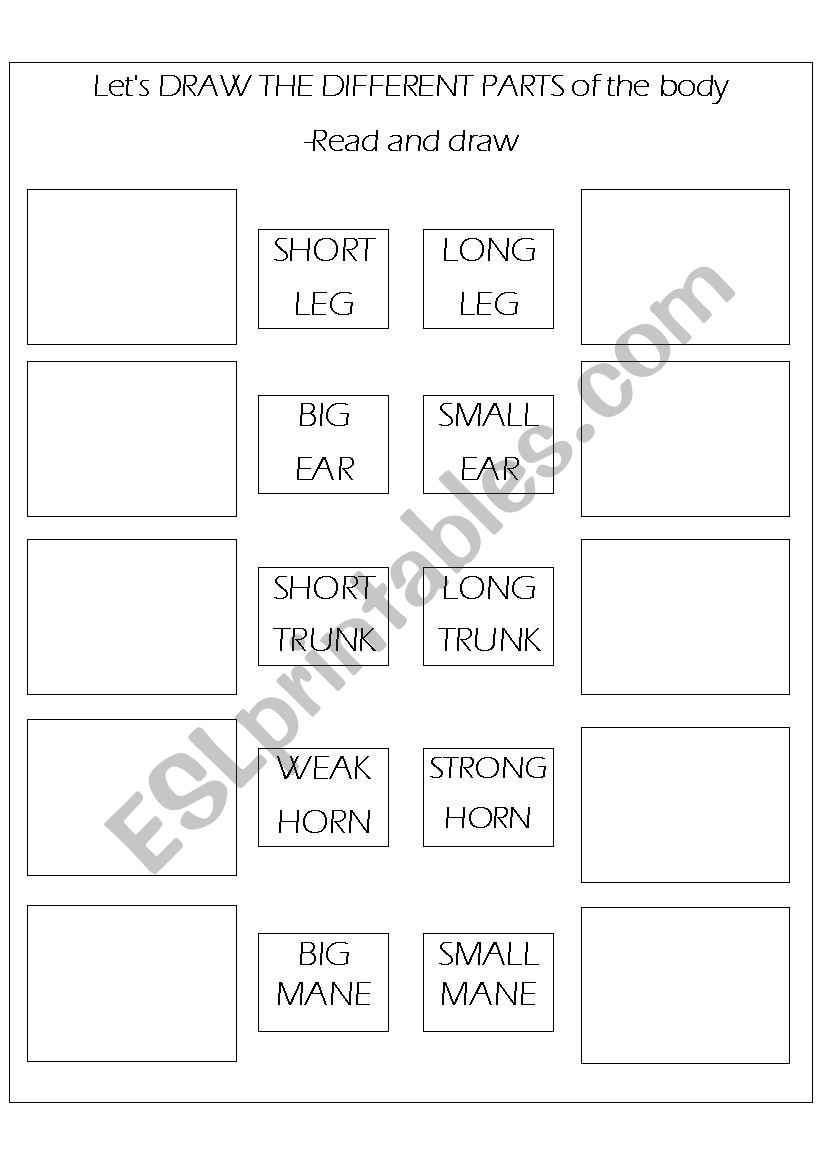 Draw the body Part worksheet