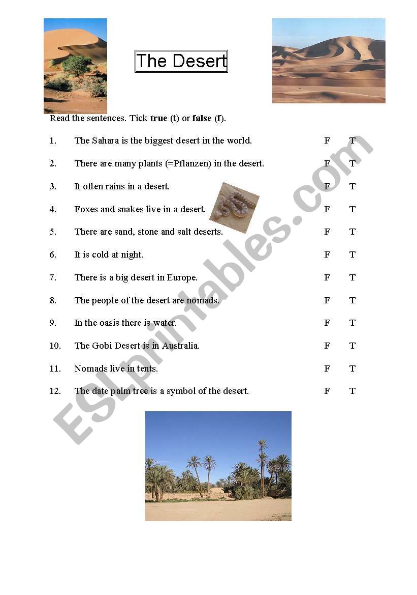 desert worksheet