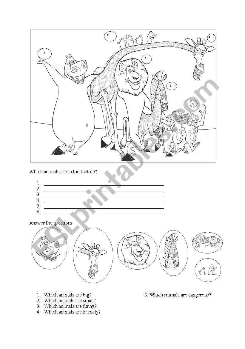 ANIMALS worksheet