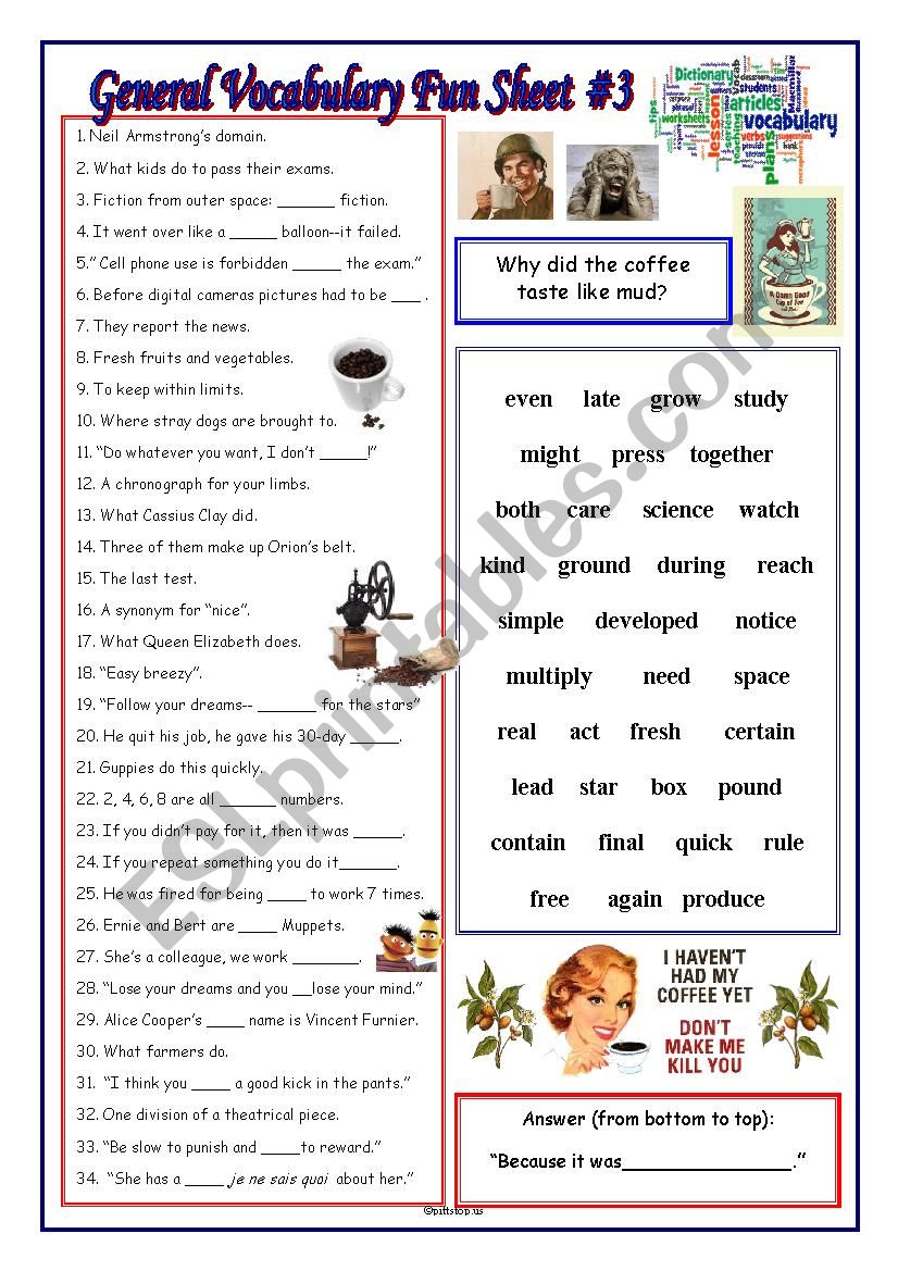 General Vocabulary Fun Sheet #3