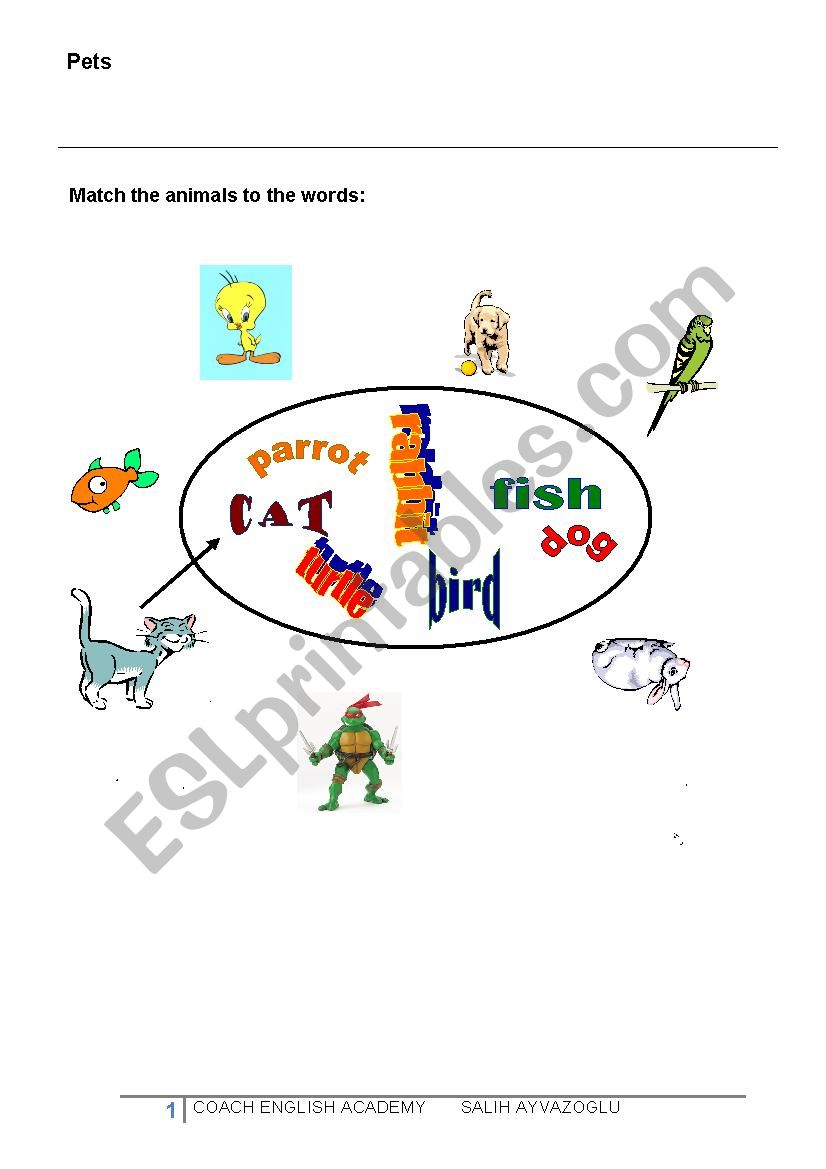 match the animals worksheet