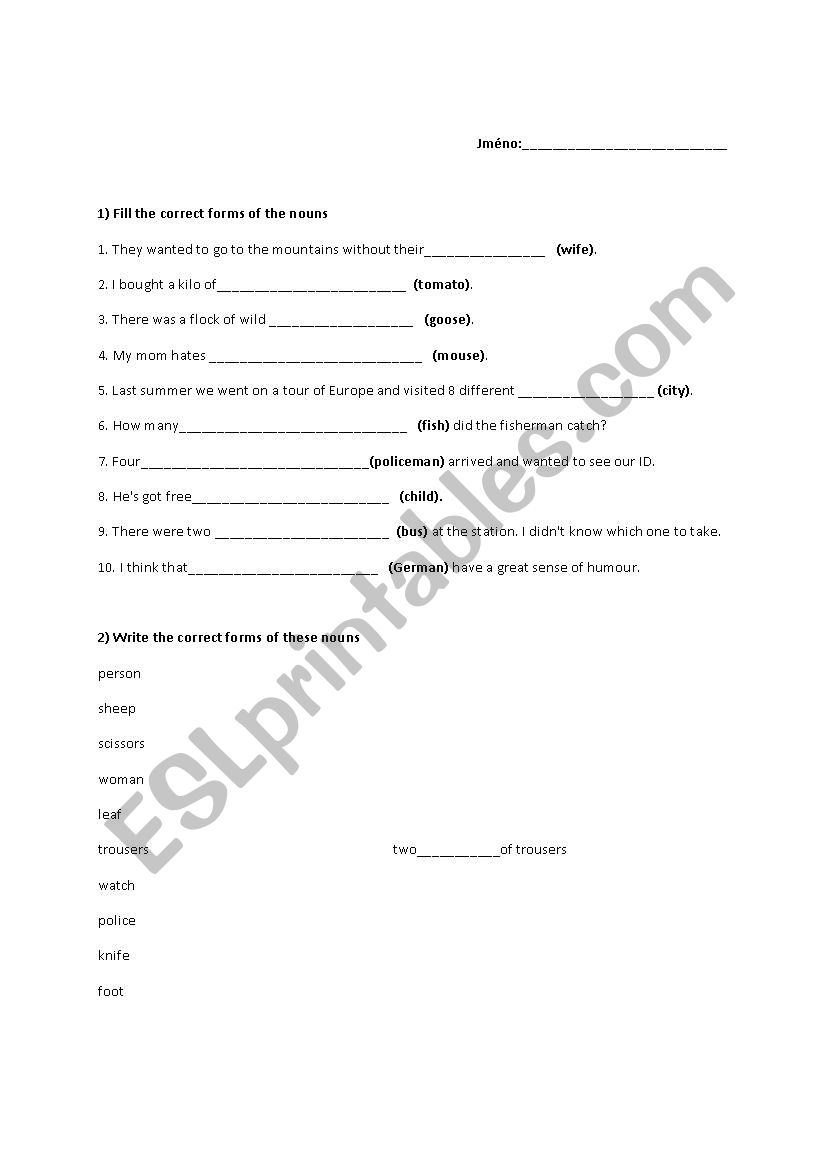 plural of nouns worksheet