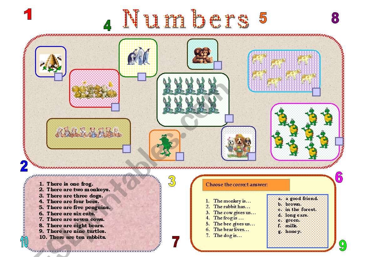 NUMBERS worksheet