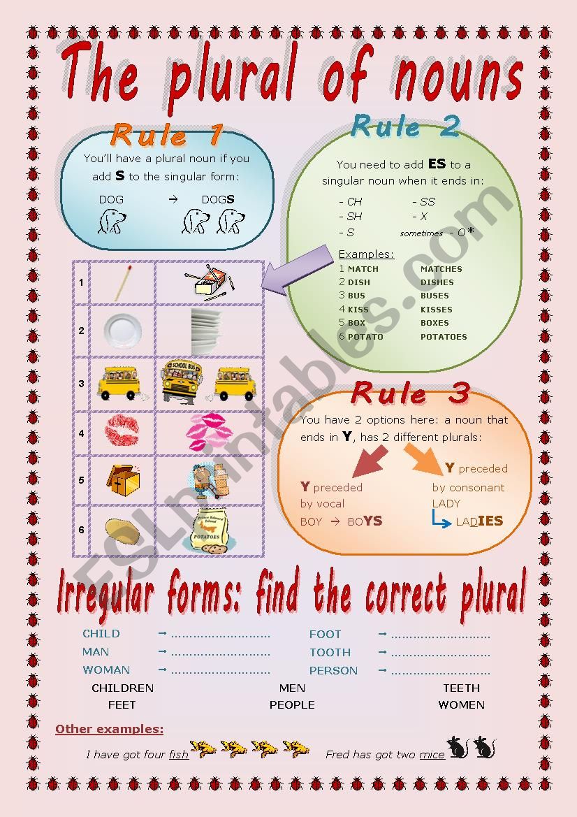 PLURALS n.1 worksheet