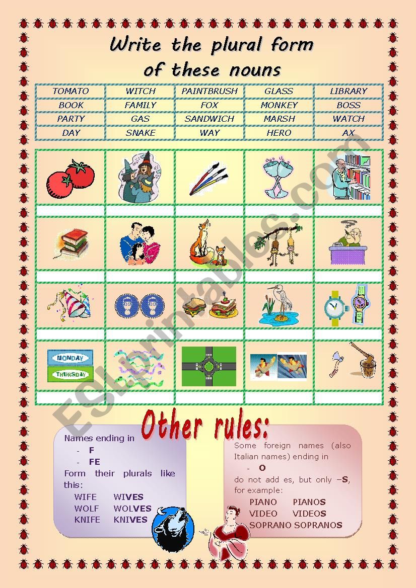 PLURALS n.2 worksheet