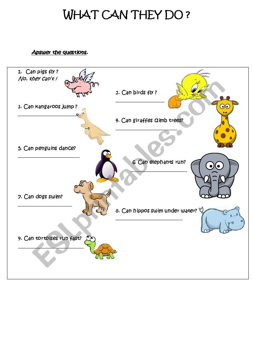 What can they do? worksheet