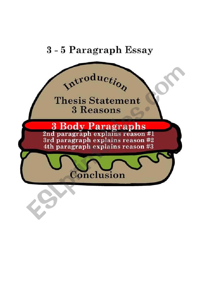 3-5 essay Hamburger Example worksheet