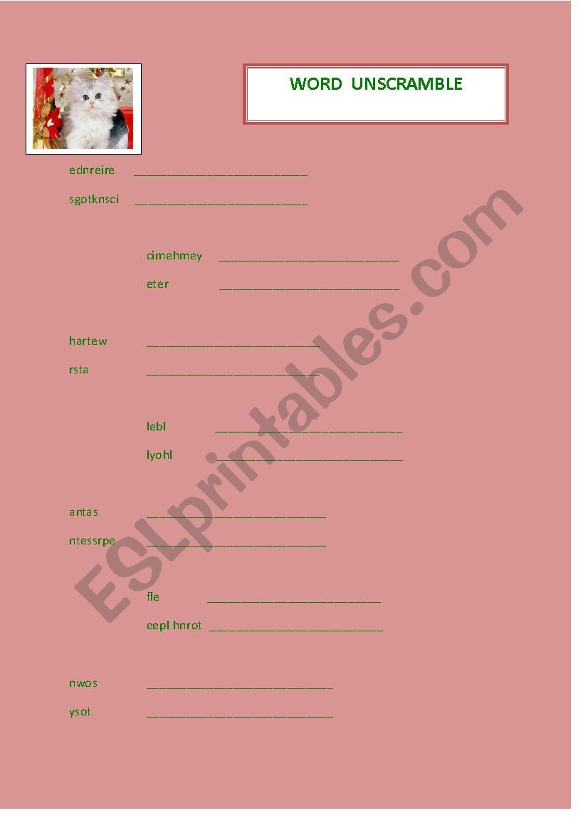 Word Scramble worksheet