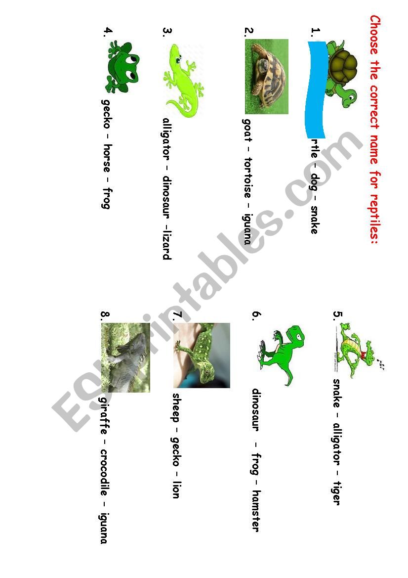 reptiles worksheet