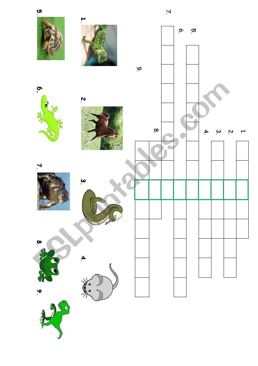 animals- crossword worksheet