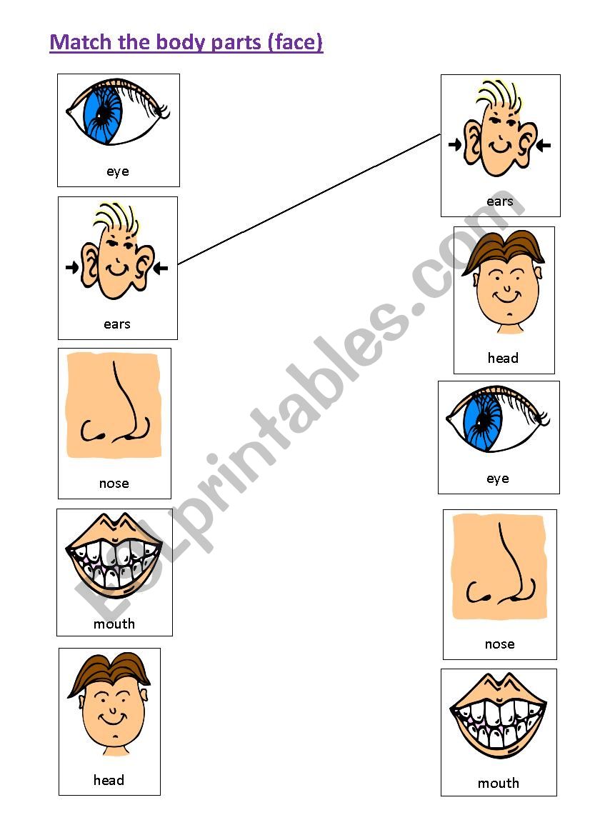 Matching body parts - face worksheet