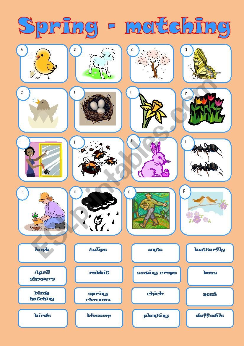 Spring match. Spring matching. Worksheets Matches Spring. Wild animals Worksheets for Kids matching.