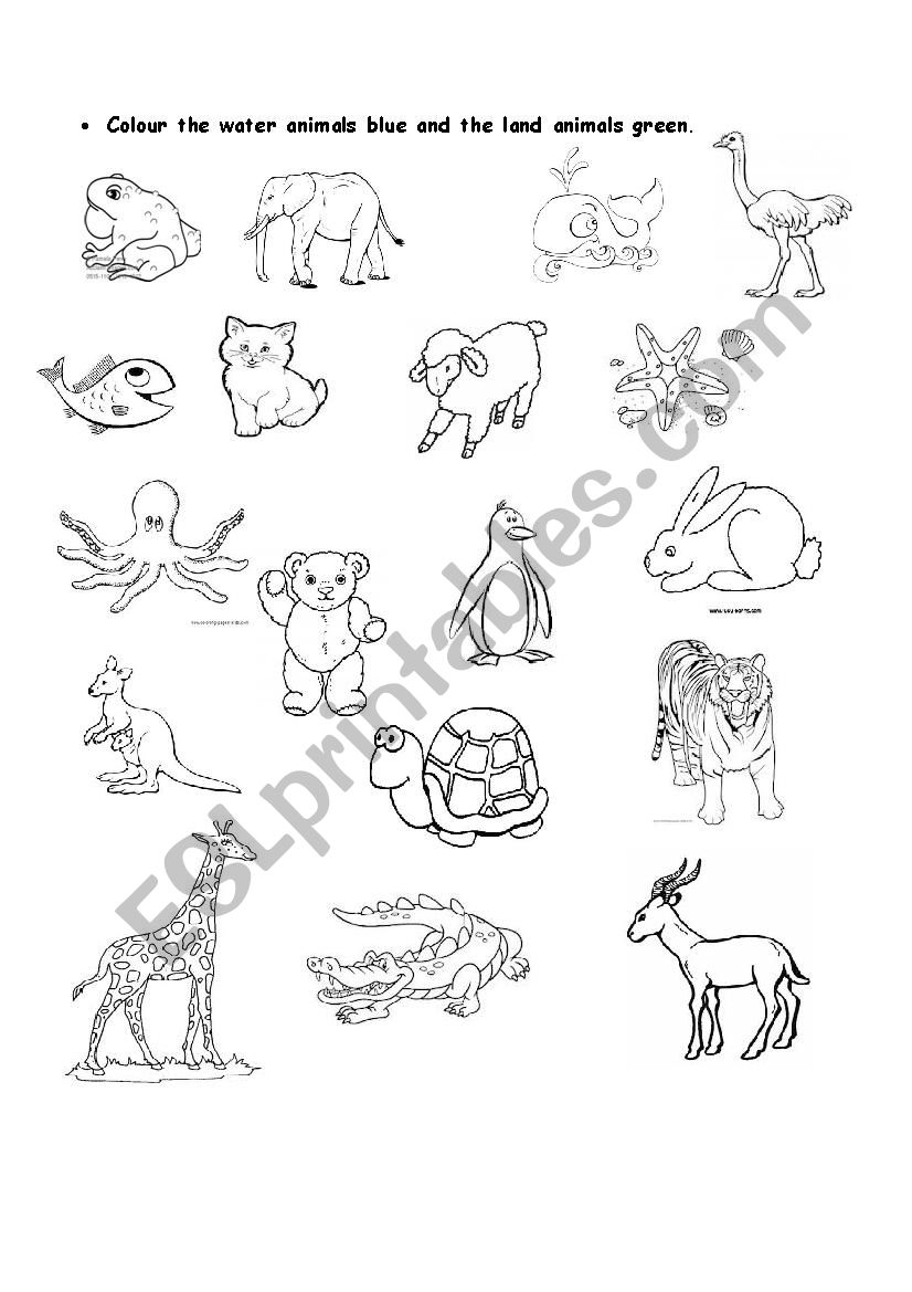 water and land animals worksheet