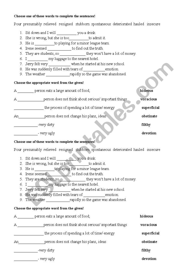 vocabulary worksheet