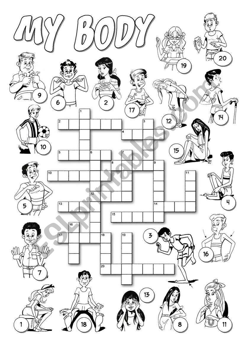 My Body Crossword worksheet