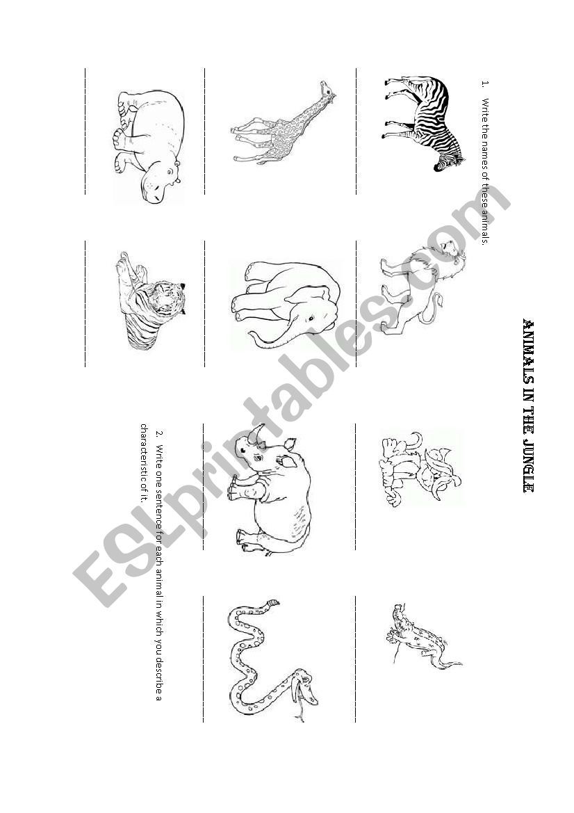 Animals in the jungle worksheet