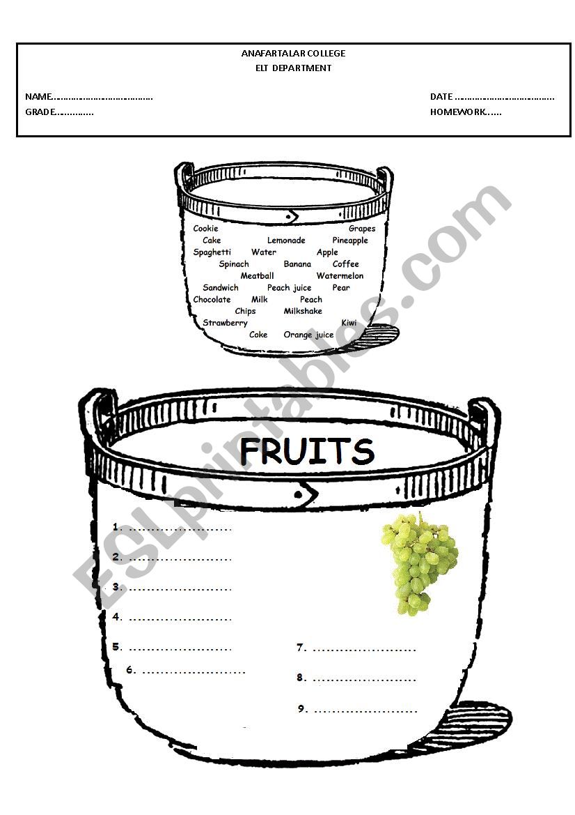 Foods worksheet