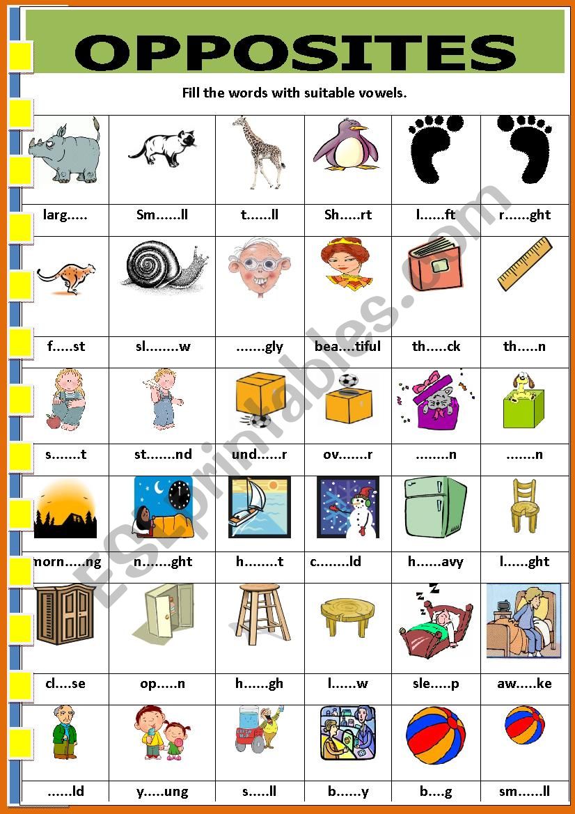 opposites worksheet