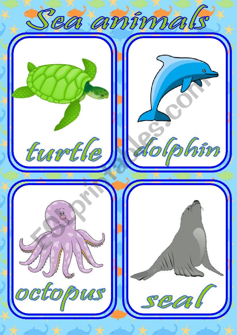 SEA ANIMALS FLASHCARDS - SET OF 12