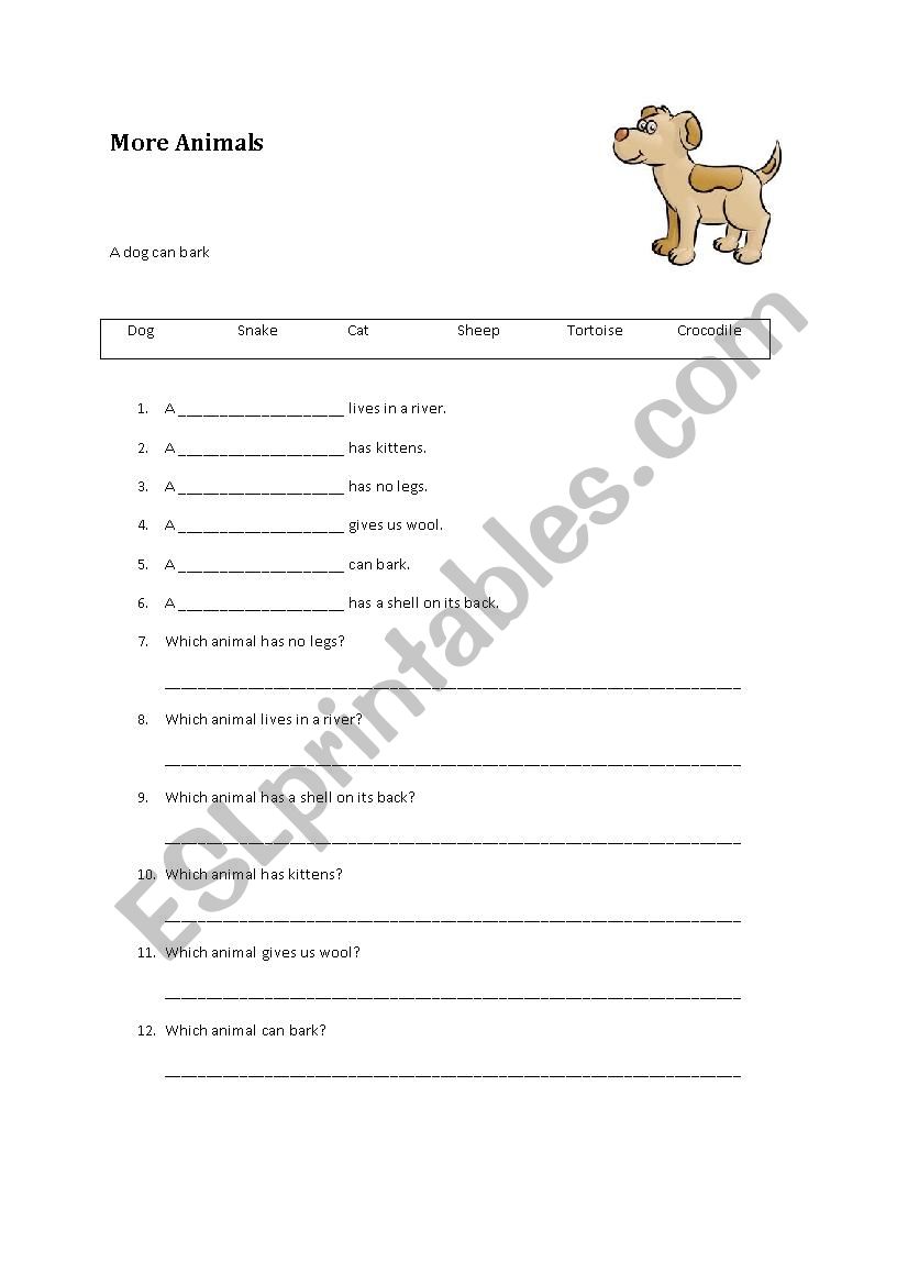 More animals worksheet