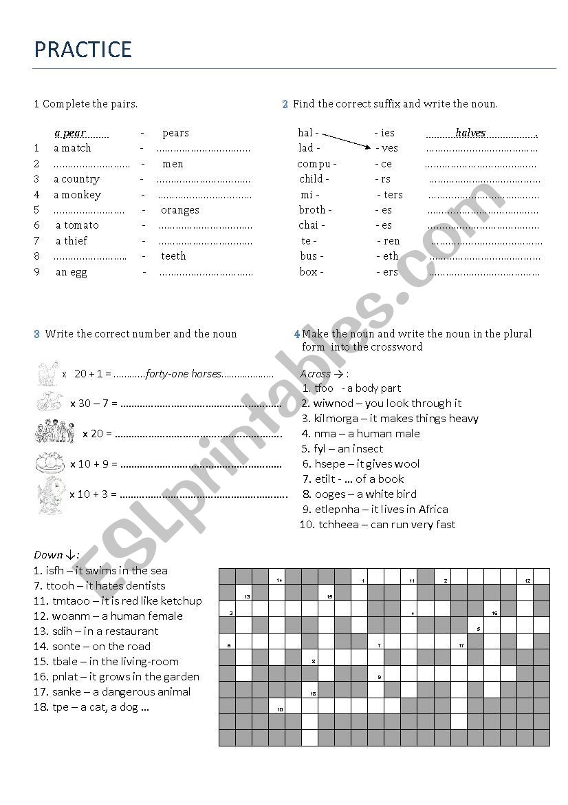 Plural worksheet