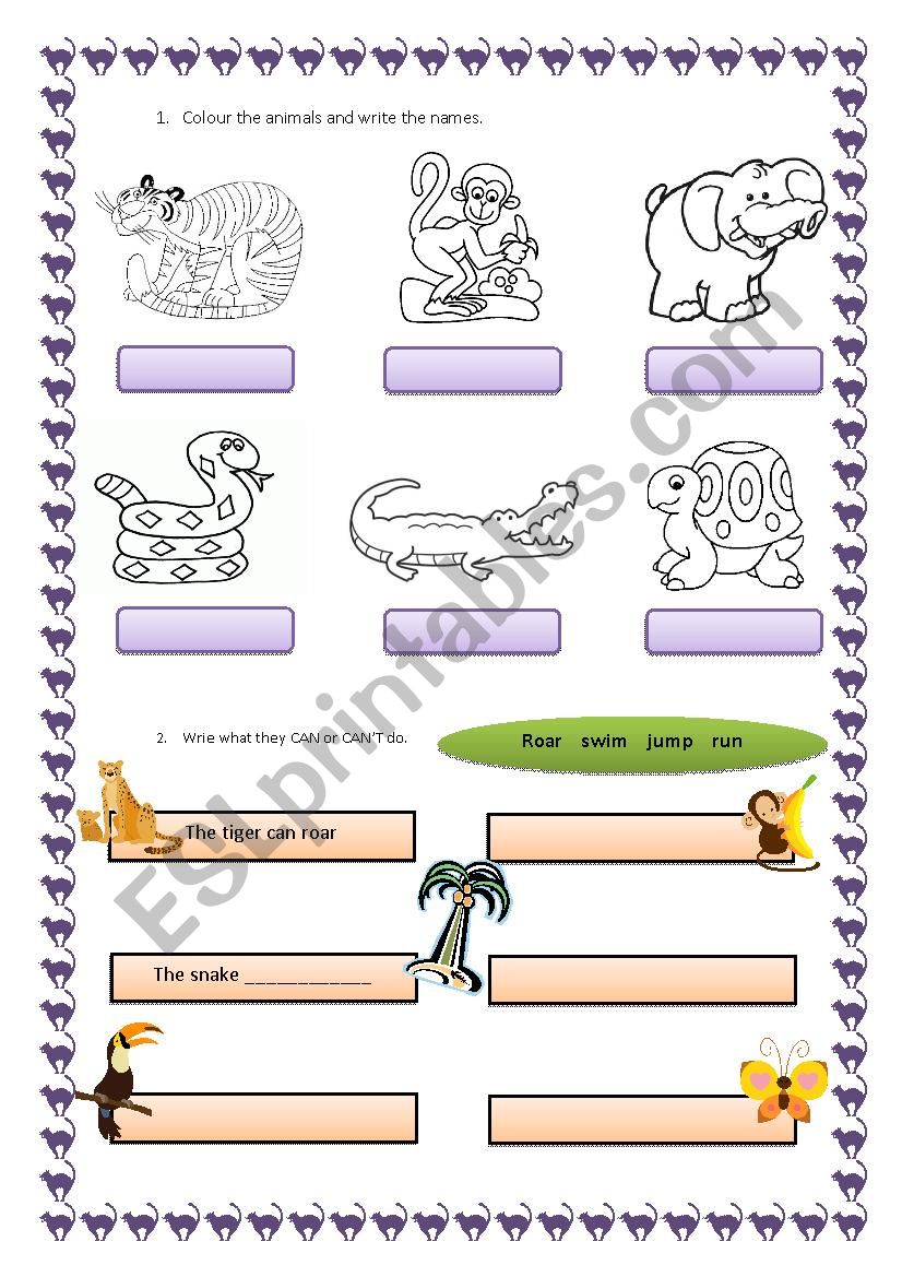 wild animals worksheet