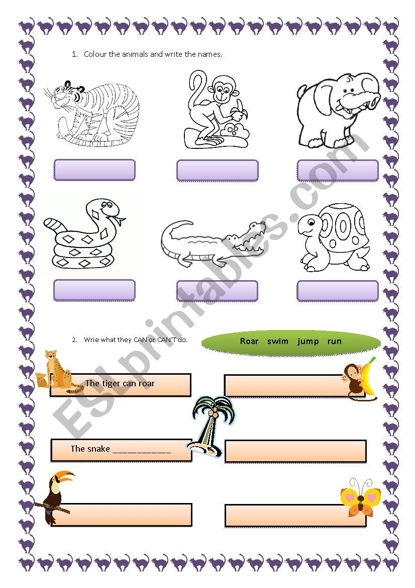 wild animals worksheet