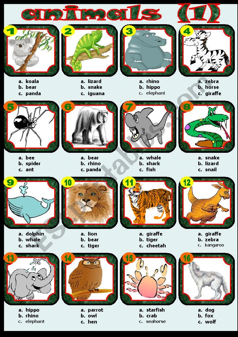 animals (1) worksheet