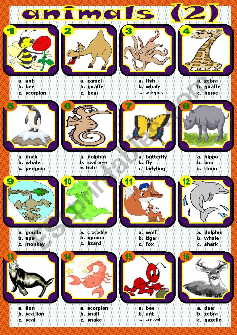 animals (2) worksheet