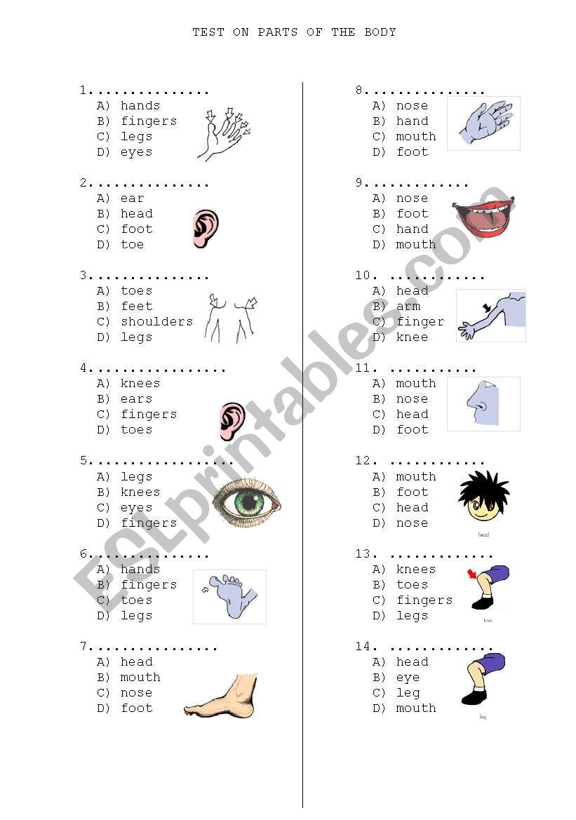 body_parts worksheet