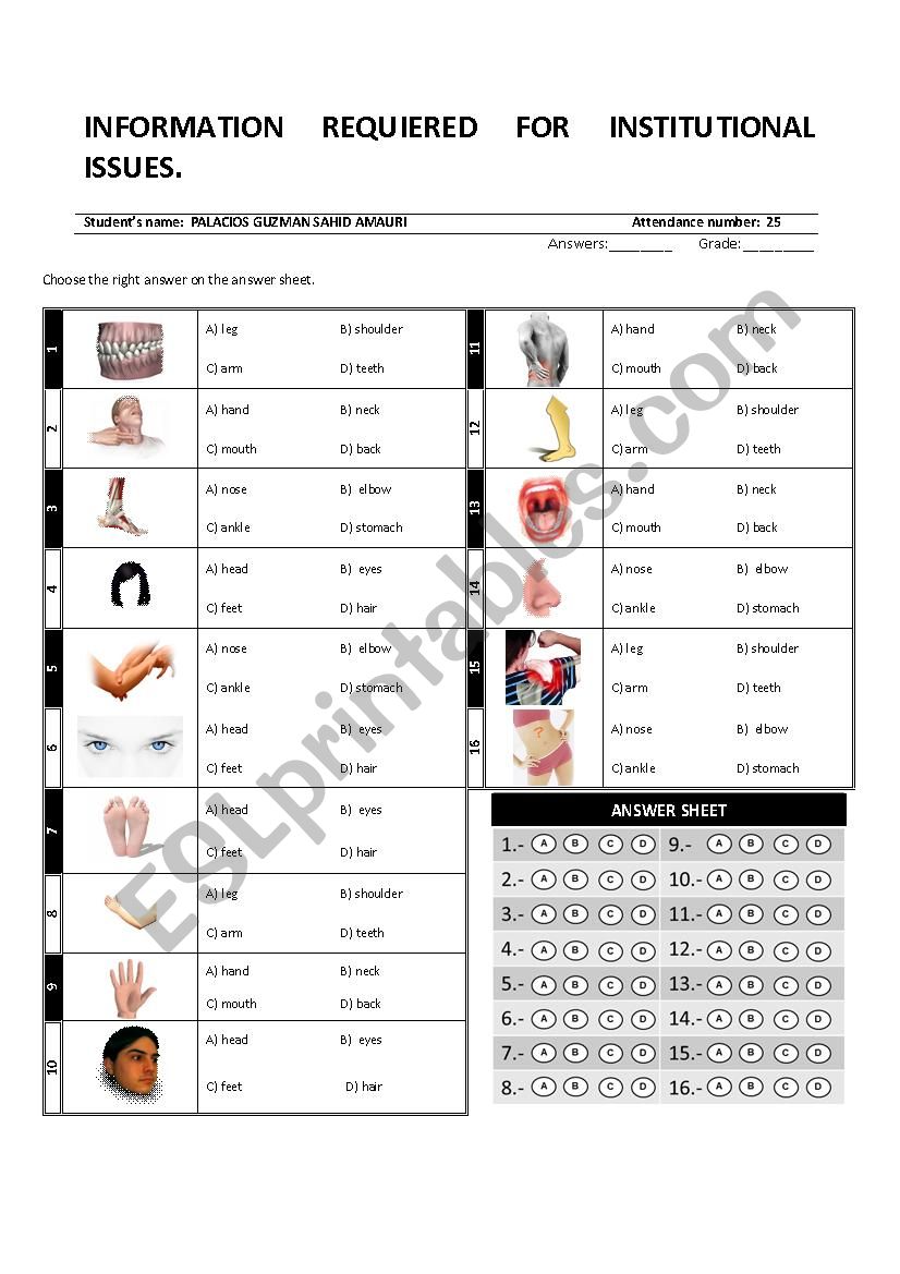 Body worksheet