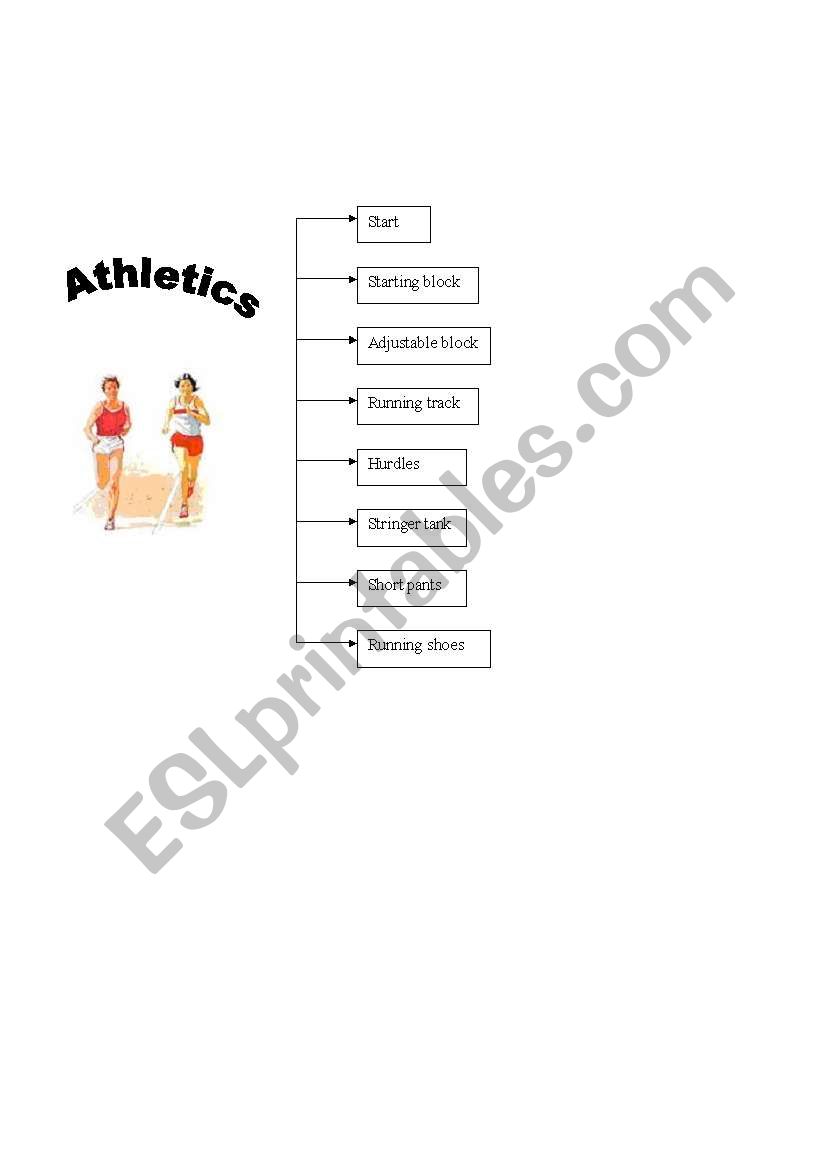 vocabulary about sports worksheet