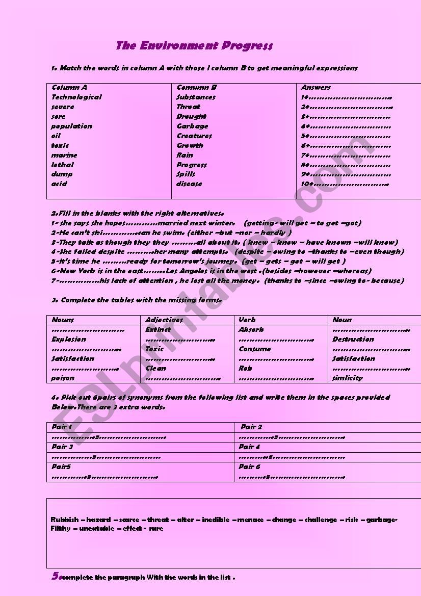 the environment progress worksheet