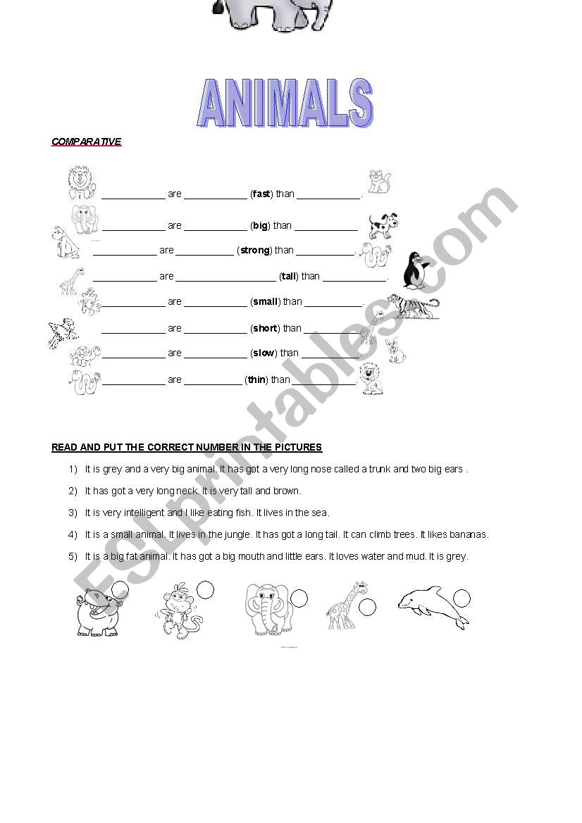 animals-comparative-esl-worksheet-by-nalita-77