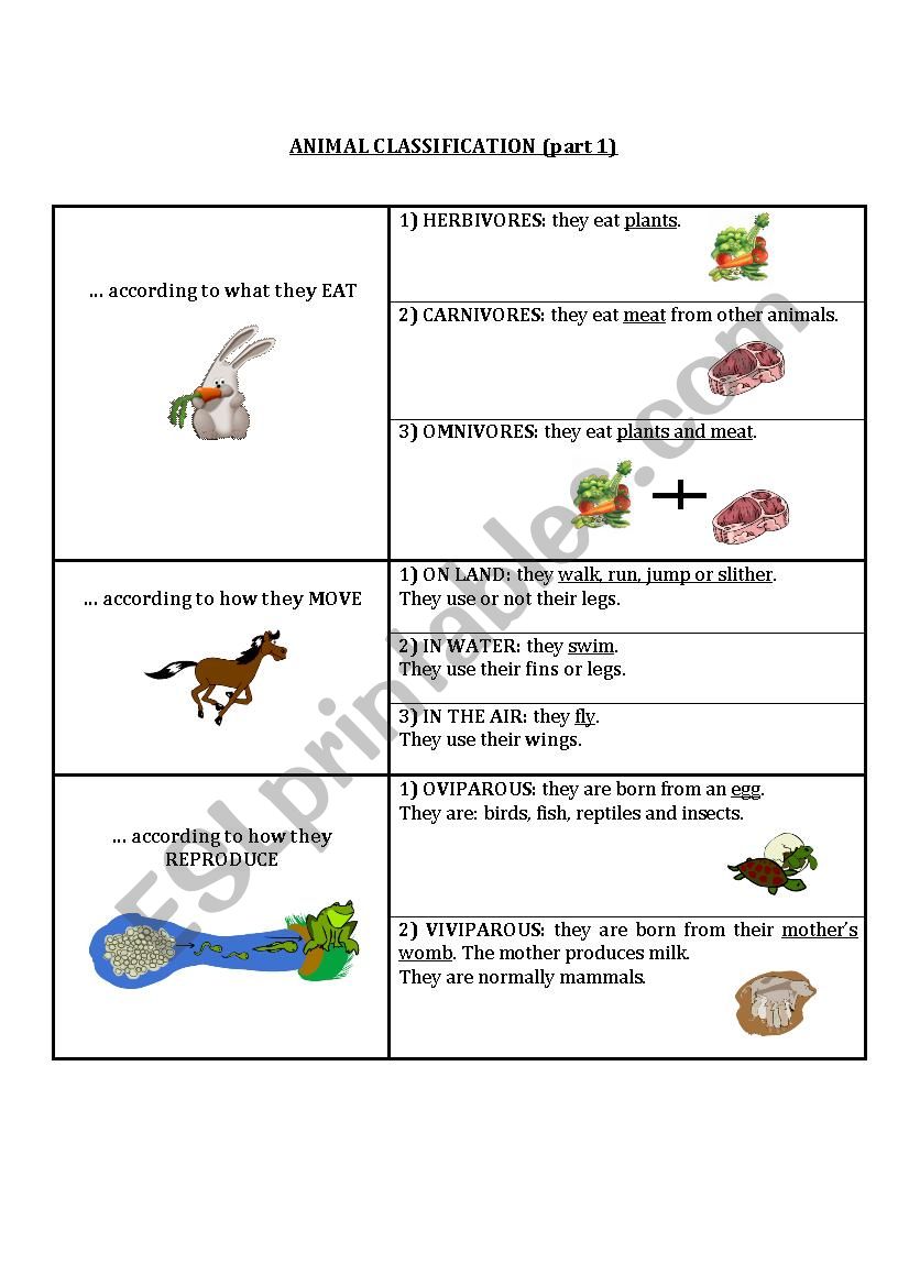 Animal classification (part 1)