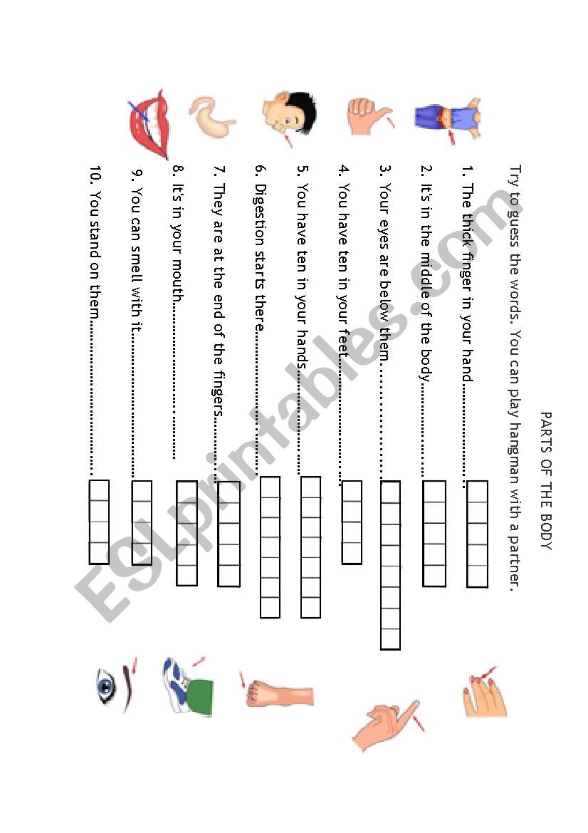 PARTS OF THE BODY worksheet