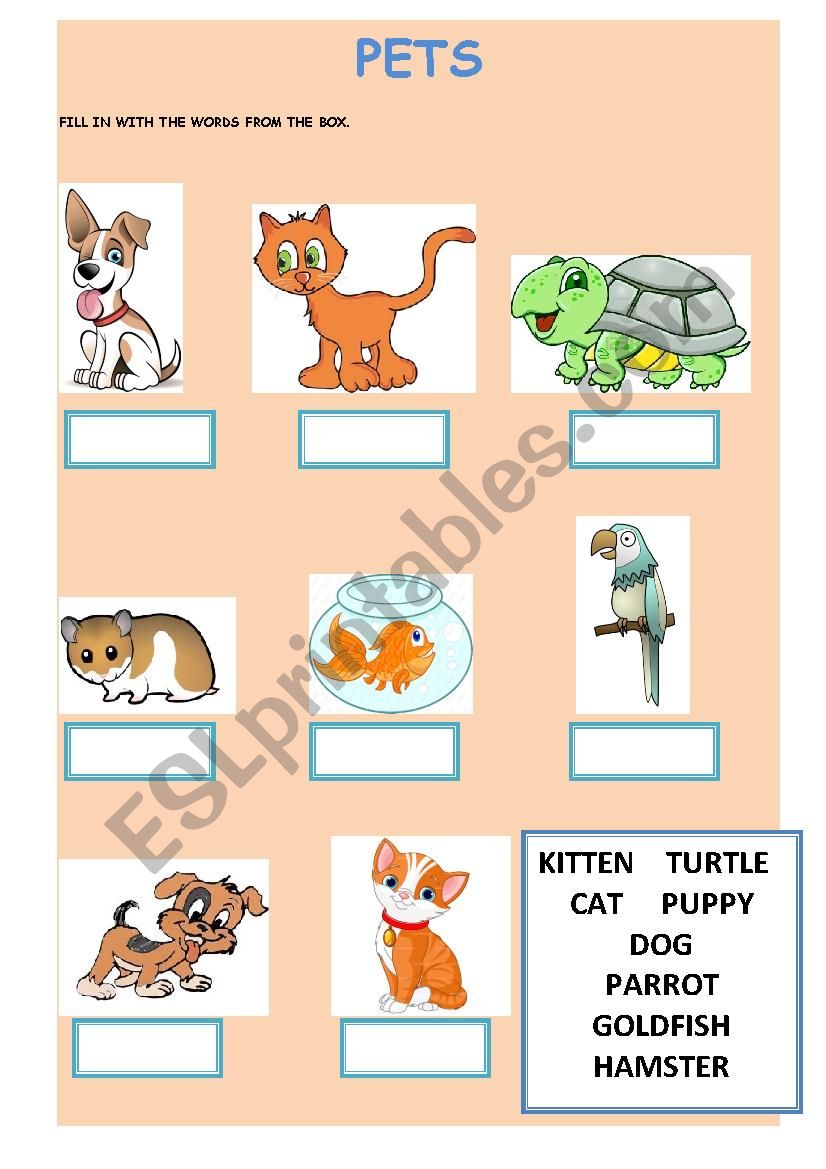 Pets worksheet